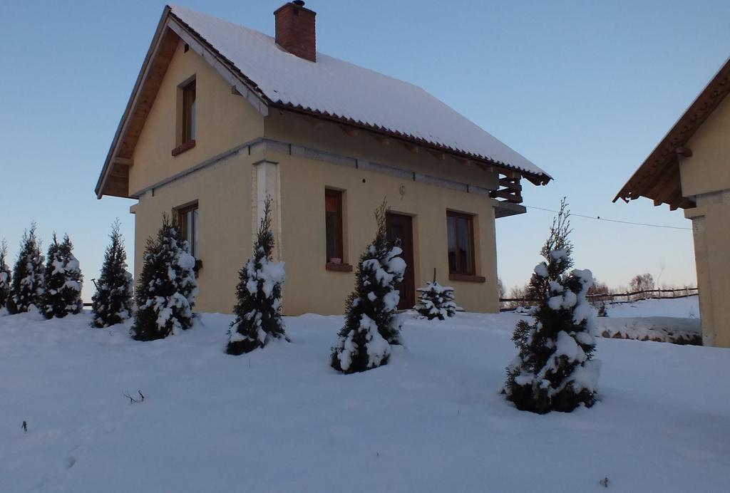 Domki Na Mazurach Kurka Wodna Hotel Mikołajki Exterior foto