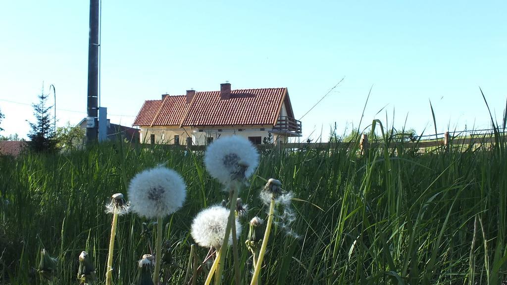 Domki Na Mazurach Kurka Wodna Hotel Mikołajki Exterior foto